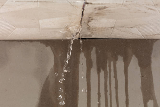Professional Burst Pipe Cleanup technician working in Buckholts, TX